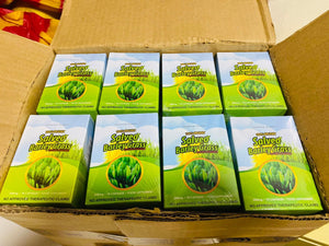 Authentic Salveo Barley Grass 70 Capsules 100% Organic 500 mg per Capsules